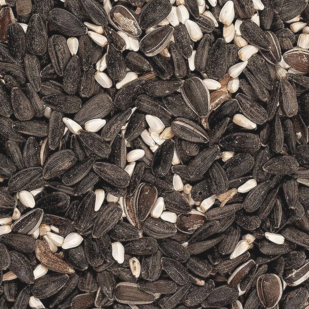 Cardinal Blend Wild Bird Food  - 5 Pounds Combo Pack of 2 | No Grow Seed