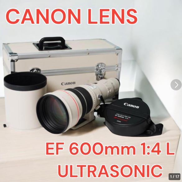 Near MINT] Canon EF 600mm f/4 L USM for EOS AF Lens w/Case Hood