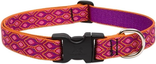 Lupine Originals "Alpen Glow" Dog Collars - 第 12/13 張圖片