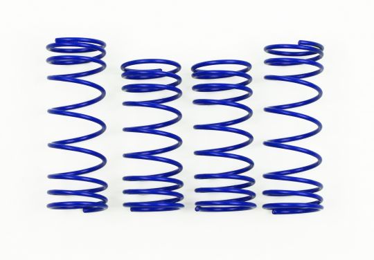 1/10 Rustler® 4x4 upgraded, GTR Track Tuned Blue Shock