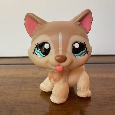 Authentic Littlest Pet Shop 1012 Tan Husky Dog LPS Hasbro Teal Eyes