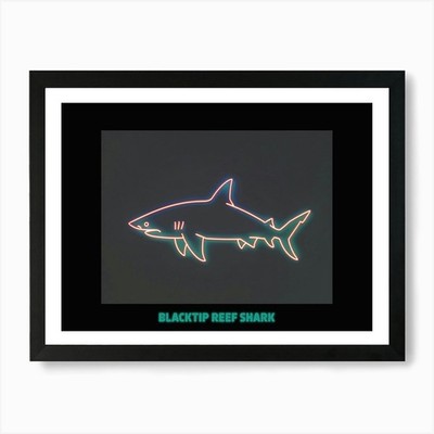 Neon Schwarzspitze Riffhai 3 Poster A gerahmtes Wandbild Poster Leinwanddruck Bild