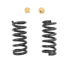 Belltech 4766 Lowering Springs Front Silver Powdercoated Fits Dodge Dakota Pair