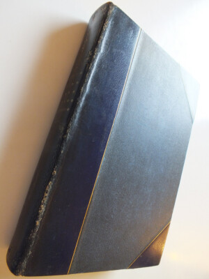 Beatrice d'Este: Duchess of Milan, 1475-97: A Study of the Renaissance *1899*