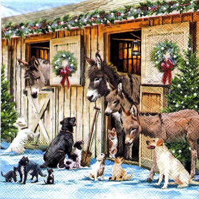 Serviette pour chien rétro - France
