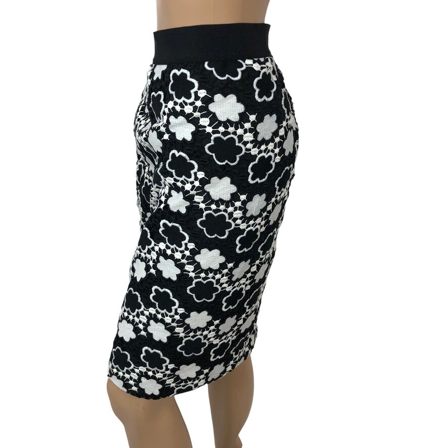 Ann Taylor Pencil Skirt Size 10 Floral Embroidered Lace Straight Office