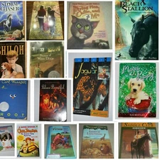 15 Books Some are Scholastic early reading chapter books .Plus More Books