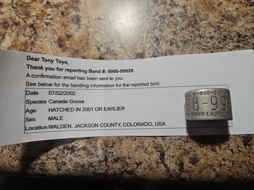 2002 100% WALDEN COLORADO Canada Goose CALL 800 327 Band 0968 Duck Bird Call Leg