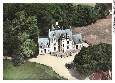 DF-BFP1-1014-72 - Mit dem Flugzeug über LA CHAPELLE-D'Aligne - Le Chateau de C