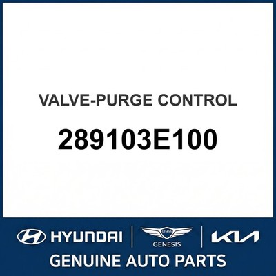 2006-2013 Kia Optima Ventil-Spülluftsteuerung OEM Neu 289103E100