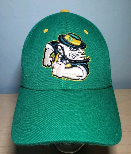 Zephyr Notre Dame Fighting Irish Hat NCAA Z Fit M/L Baseball Cap - Picture 1 of 9