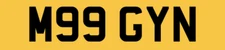 MEGAN MEGHAN MEG MEGG MEGGAN CAR REG NUMBER PLATE PRIVATE REGISTRATION M99 GYN