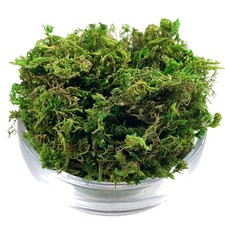 Artificial Moss Simulation 10-240g Fake Green Plant Landscape Decorative DIY