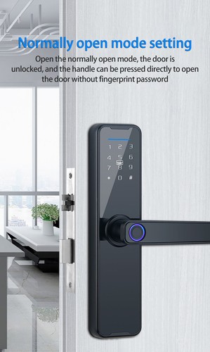 Smart Door Fingerprint Wifi Password Lock Home Entrance Door Anti-theft Door - Picture 8 of 12