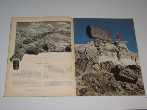 Arizona Highways Magazine August 1951 - Imagen 3 de 5