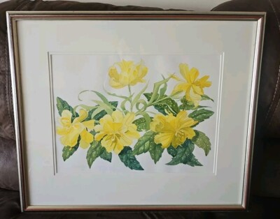 June Shanks DA, original signiertes großes Aquarell, ''Volle Blüte gelbe Tulpen''