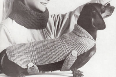 knitting pattern for dachshund sweater