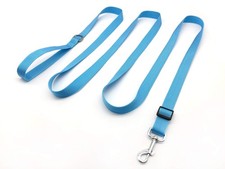 Adjustable Nylon Dog Leash 10 Foot Long Dog Leashes for Medium Large Dogs