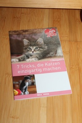 7 Tricks, die Katzen einzigartig machen ღ Ratgeber ღ Bellavista