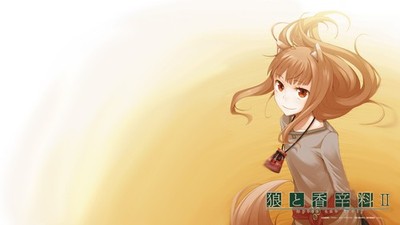 Anime holo spice wolf girls smiling brunette long hair Custom Gaming Mat Desk