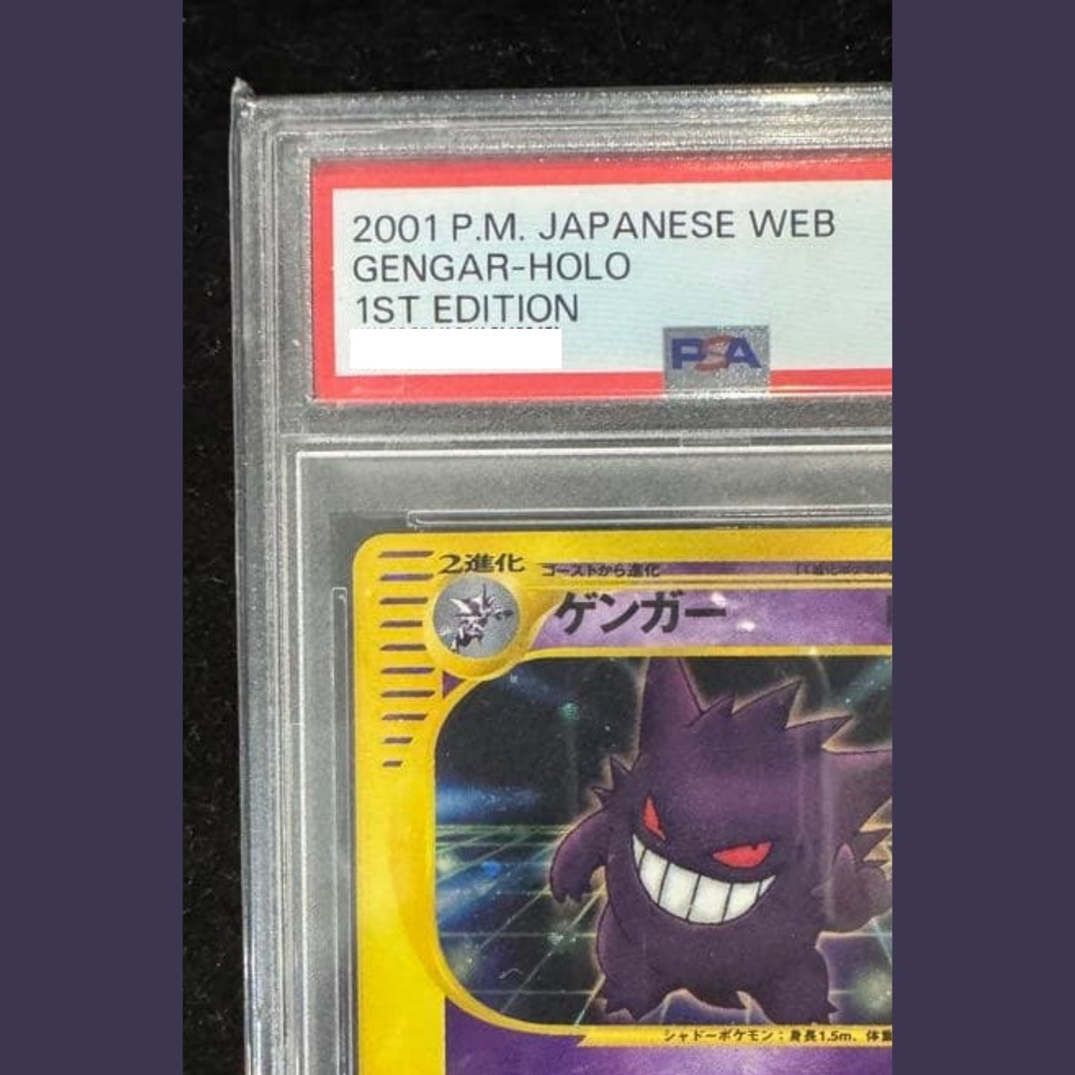 PSA 10 Gengar 047/048 1st EDITION Pokémon Web Holo 2001 Pokemon