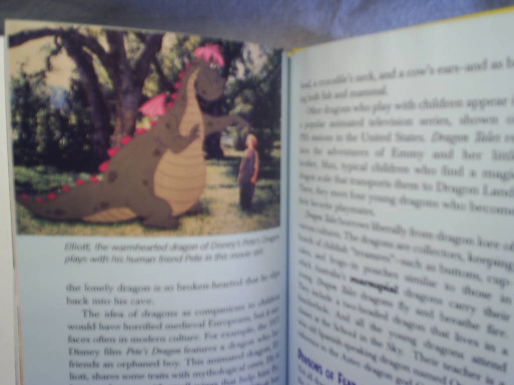 Picture 6 of 6