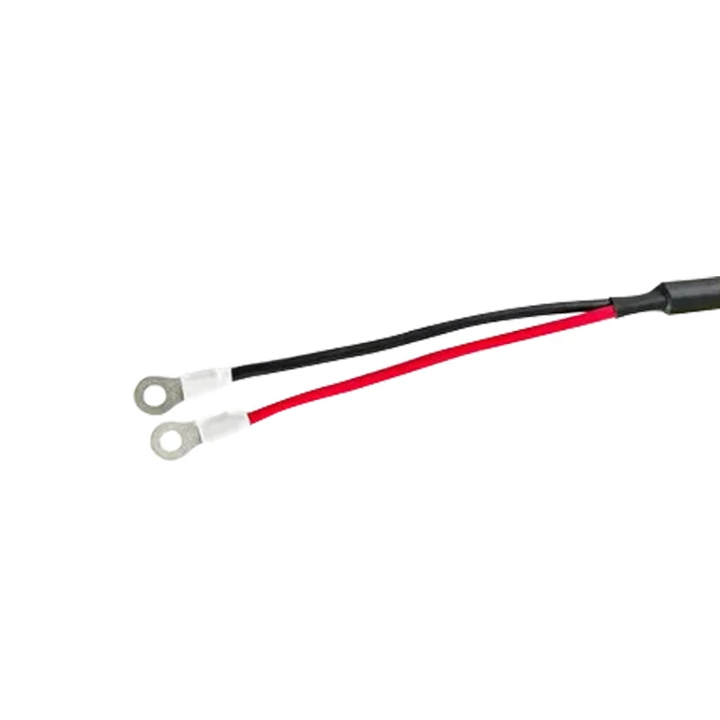 Carro de golf 72 voltios 25 amperios cargador rápido de batería de litio para ECAR GEM Bad Boy Buggies Foto 4 de 4