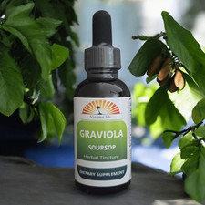 Graviola Soursop Tincture