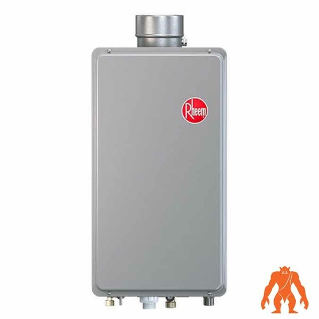 Rheem RTG70DVLN1 160000BTU 6.4Gpm Direct Vent Indoor Tankless Water