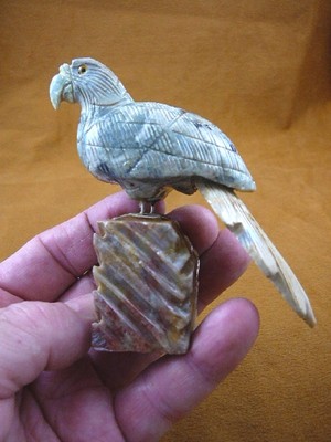 (Y-BIR-PA-407) tropical PARROT gray tan bird gemstone STONE GEM carving Peru