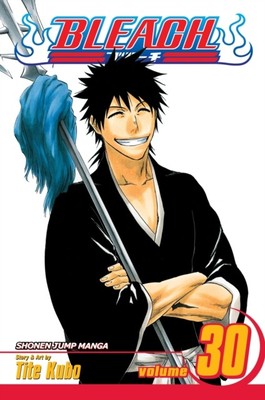  Bleach Vol. 30 von Tite Kubo 9781421523880 Taschenbuch Softback
