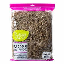 Preserved Green Spanish Moss Natural Bulk Floral Crafting Supplies