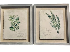 Herbal Art Prints Gray Wash Frames Under Glass 11 x 13” Set 2 Oregano Thyme