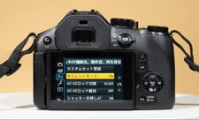 Panasonic Lumix DMC-FZ300 Digital Cameras for Sale - Shop New