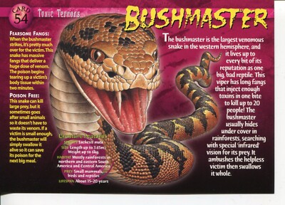 Weird N  Wild Creatures Toxic Terrors Karte 54 # Bushmaster # LC3