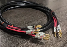 Canare Starquad 4S11 Biwired Speaker Cables  18' Pair - best budget cables! ^