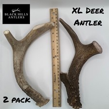 XL Premium Deer Antler Dog chew 2 Pack