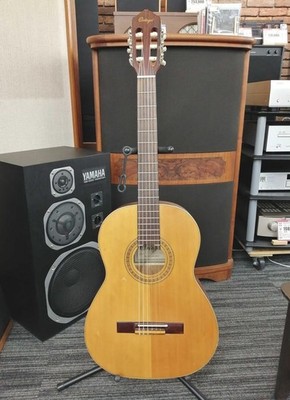 ORTEGA Classic R121SN Used