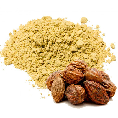 Haritaki Fruchtpulver | Myrobalan Retz | Terminalia Chebula | Harad Bio Kraut
