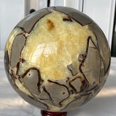 2680G Natural Turtle Back stone dragon crystal ball quartz mineral healing