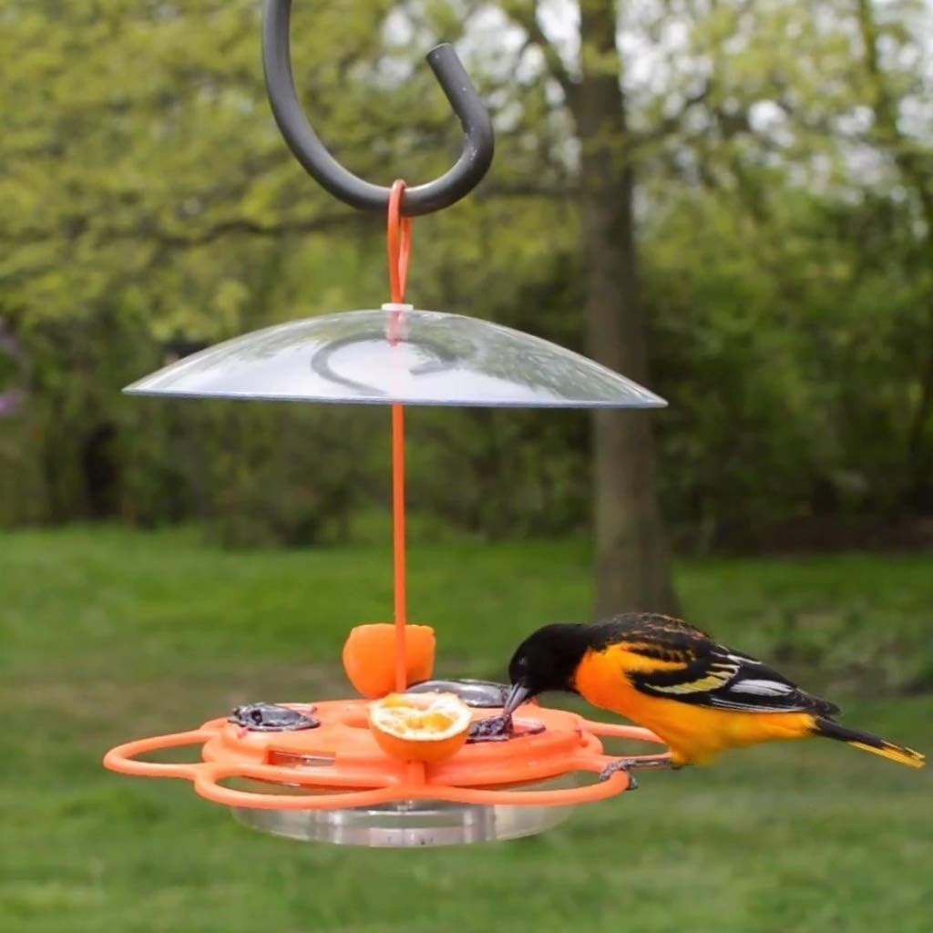 OFP1 All-In-One Oriole Buffet Bird Feeder, Orange