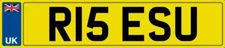 RISES RISE NUMBER PLATE RISEN RISE CAR REGISTRATION R15 ESU ALL FEES PAID RIESS