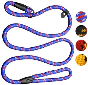 cesar dog leash
