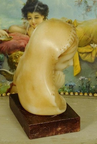 Sublime Antique French Religious Wax Bust / Statue Virgin Mary, The Madonna - Picture 3 of 14