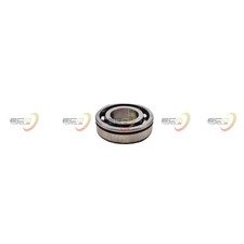 NTN Ball Bearing with Circlip Groove SX05A87NCS30PX1 25x52x15/14mm