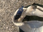POLO RALPH LAUREN “Outdoorsman” Wild River Camo Trucker Hat — photo 7