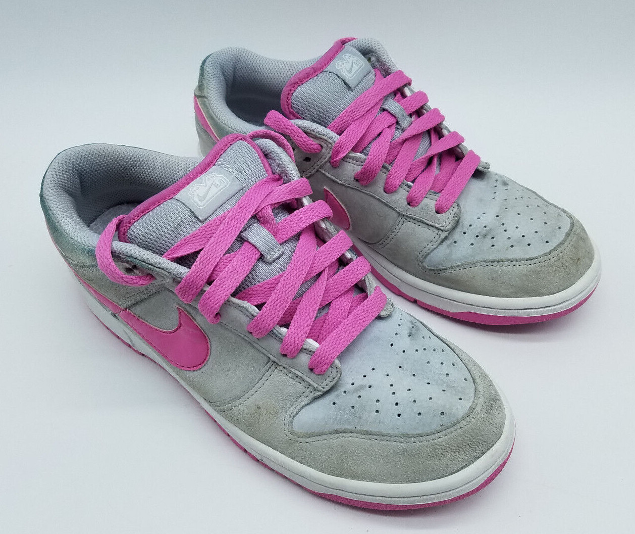 Nike Dunk 6.0 SB Low Women's Sneakers 