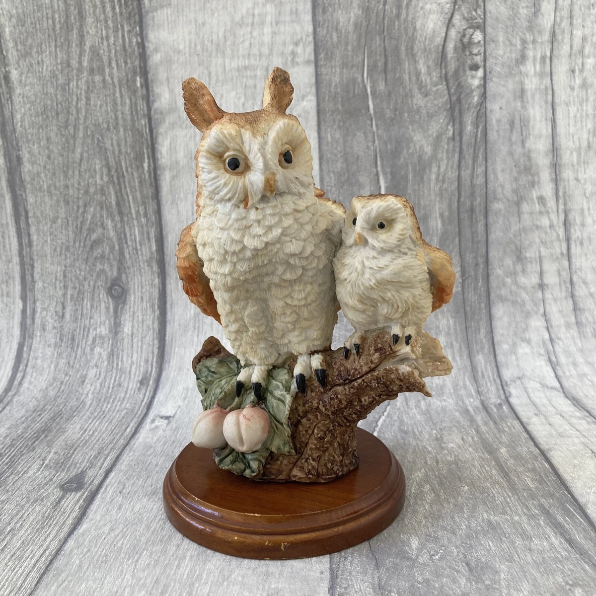 Owlet cms cheap