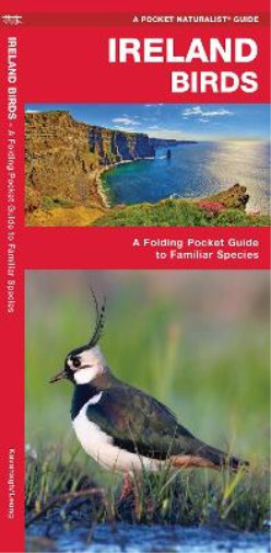 Thumbnail - James Kavanagh Waterford Press Ireland Birds (broschüre) (us Import)