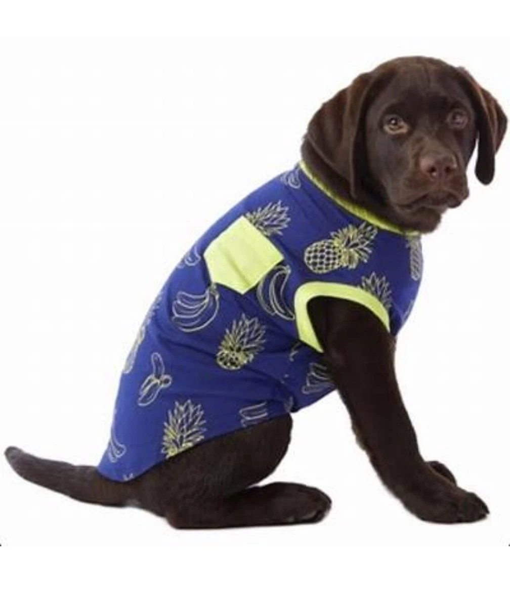 Top paw dog shirts cheap